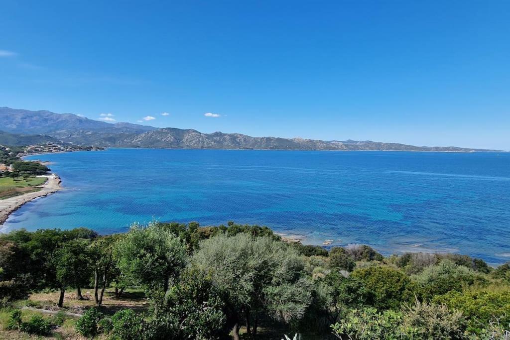 Appartement Sur La Baie De Saint Florent Patrimonio Exterior foto