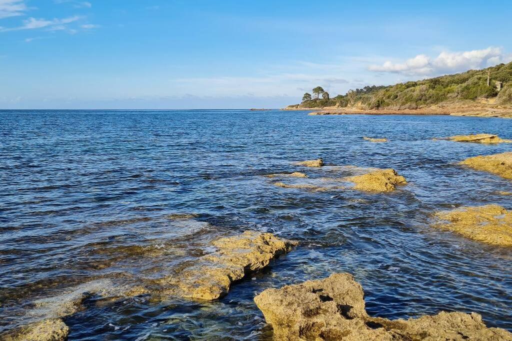 Appartement Sur La Baie De Saint Florent Patrimonio Exterior foto